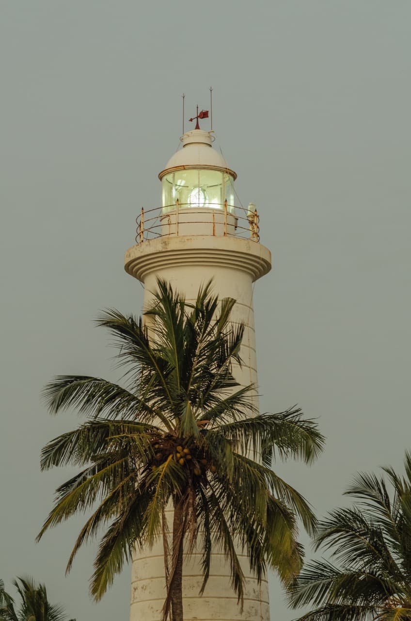 Превью Sri Lanka 2022